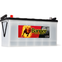 batterie BANNER PL/TP Buffalo Bull 60035 12V 100AH 600A